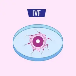 IVF fertility clinic for women in chennai | EVA IVF & Women's Centre