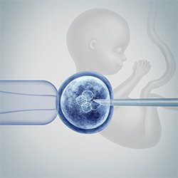 Fertility Preservation Services in Chennai | EVA IVF & Women's Centre