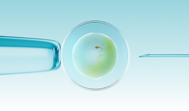 Intra Cytoplasmic Sperm Injection (ICSI)