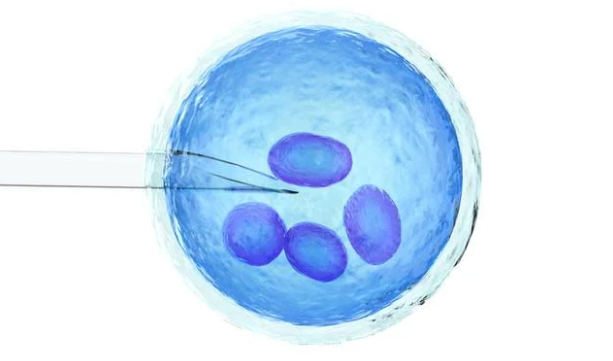 Oocyte Donation