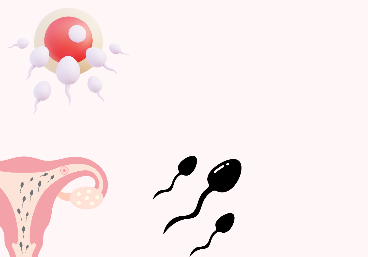 Fertility Services Banner BG