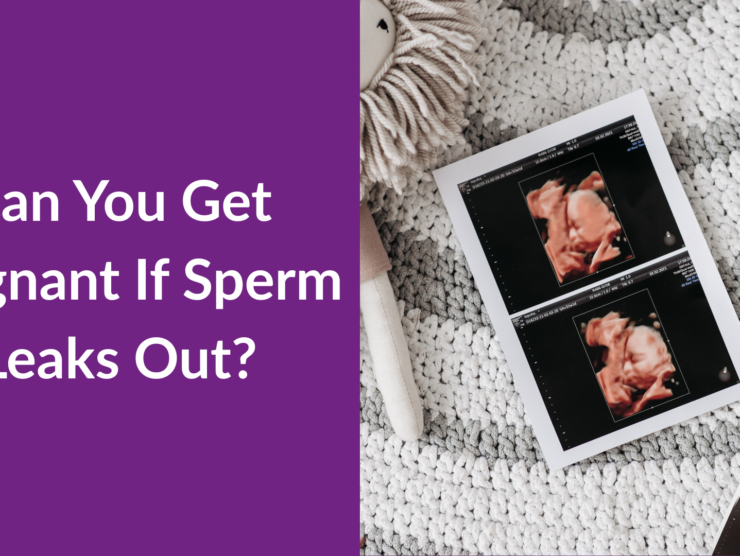 Can You Get Pregnant If Sperm Leaks Out