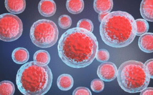 How Stem Cell Therapy Works for Fertility