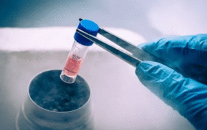 Stem Cells Basic Concepts Explained