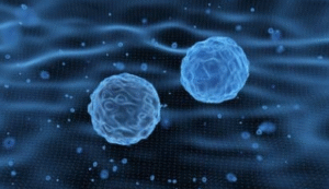 Types of Stem Cells Used in Fertility Treatments