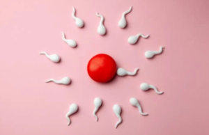 What is Low Sperm Count