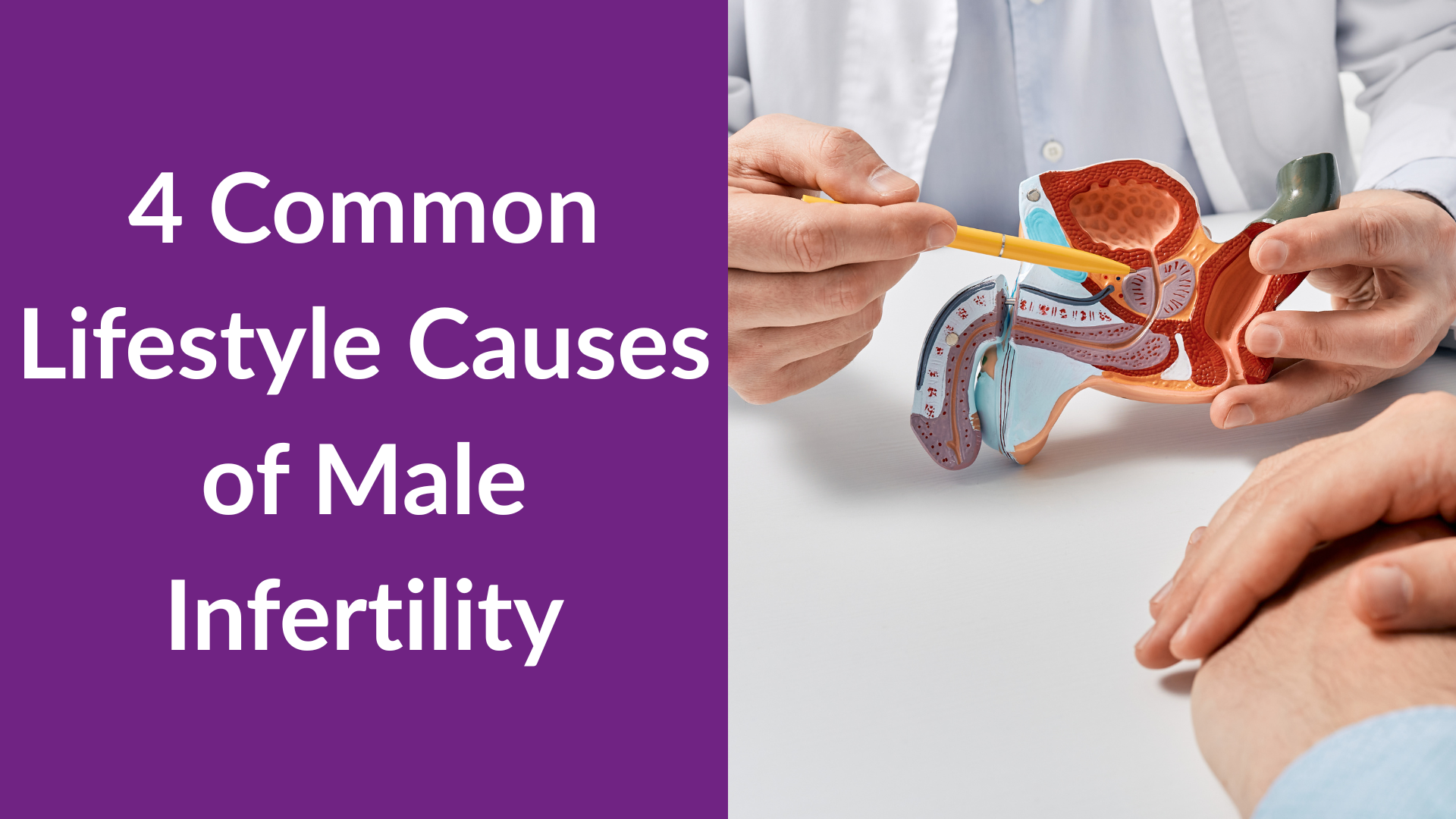 4 Common Lifestyle Causes of Male Infertility