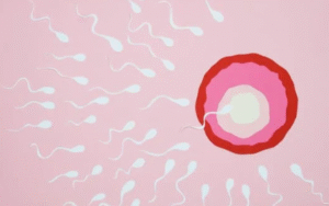 Age and fertility