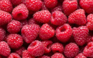 Berries