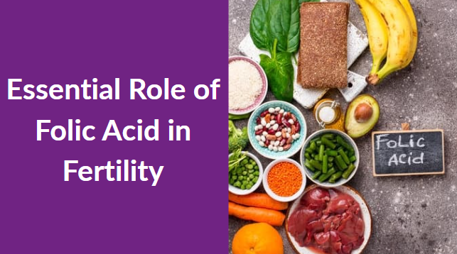 Essential Role of Folic Acid in Fertility Essential Role of Folic Acid in Fertility