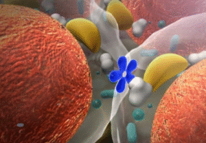 Hormonal Disorders
