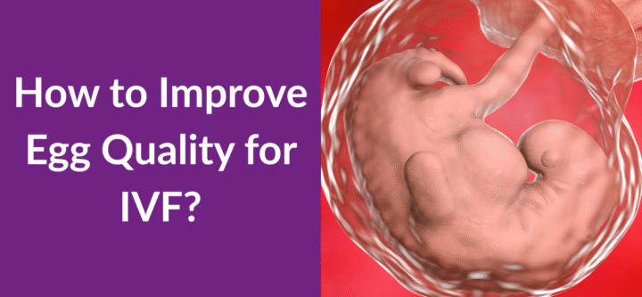 How to Improve Egg Quality for IVF