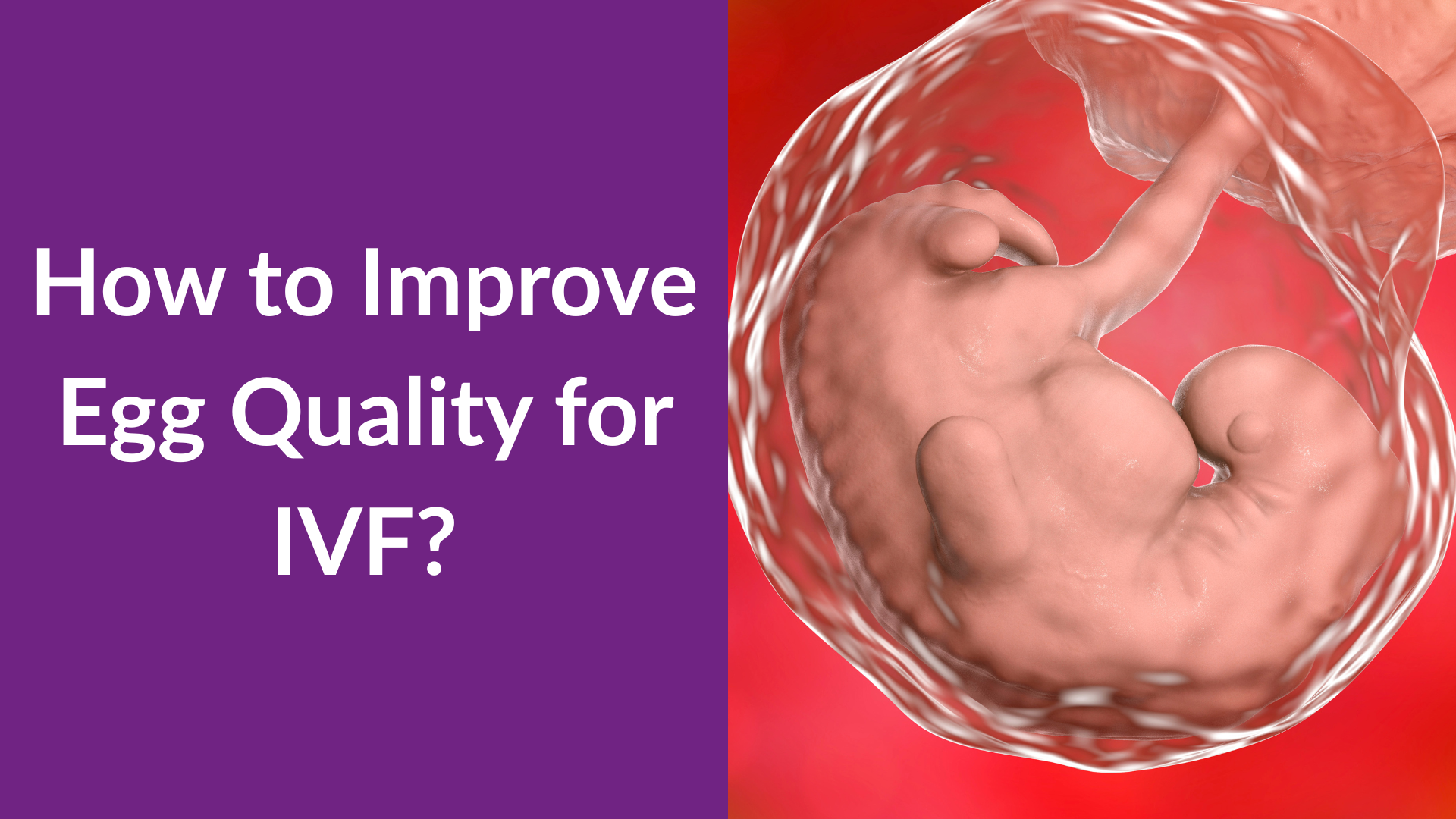 How to Improve Egg Quality for IVF