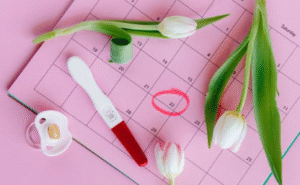 Ovulation
