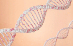 Sperm DNA Fragmentation (SDF)