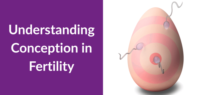 Understanding Conception in Fertility