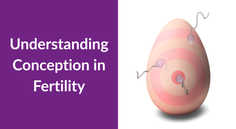 Understanding Conception in Fertility Understanding Conception in Fertility