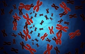 What Are Chromosomal Abnormalities