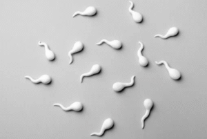What If Sperm Count Doesn’t Improve
