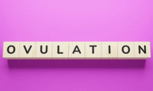 What Is an Ovulation Problem