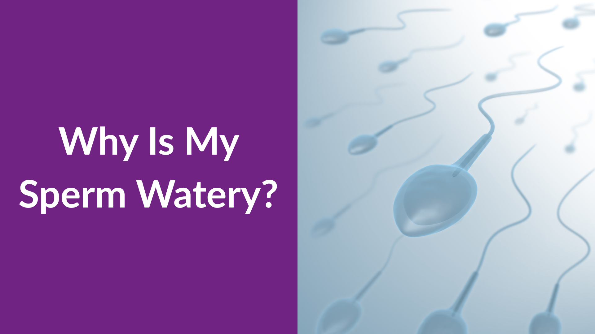 Why Is My Sperm Watery