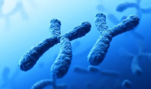 Chromosomal Abnormalities XXY