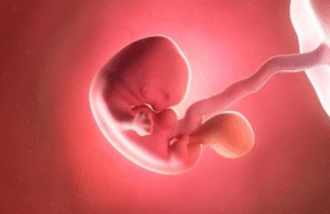 What Causes a Low-Lying Placenta