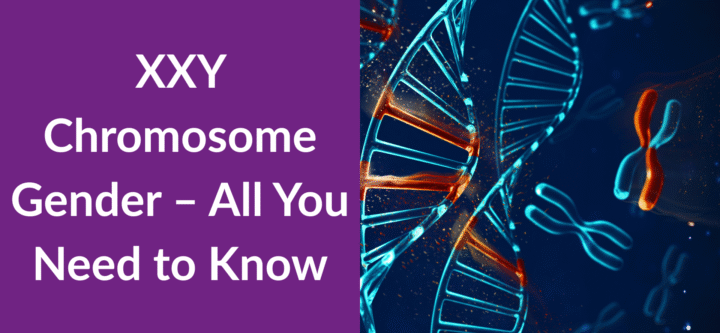 XXY Chromosome Gender