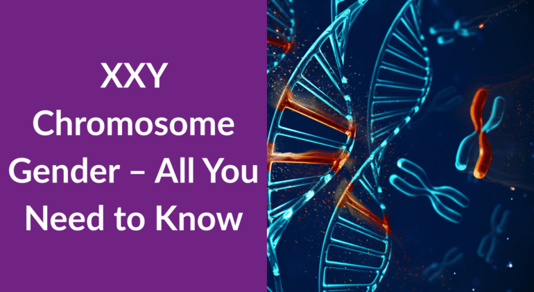 XXY Chromosome Gender XXY Chromosome Gender
