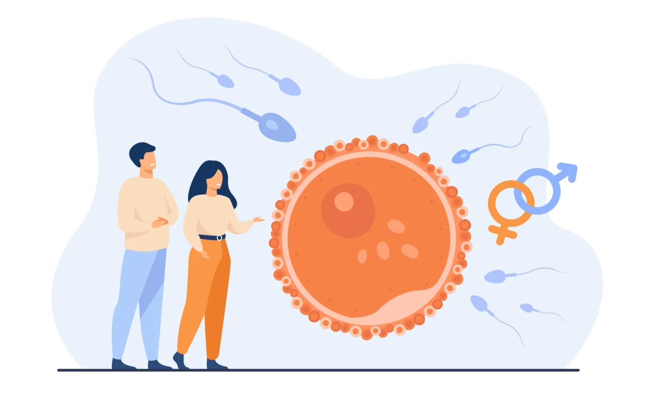 Illustration of a couple with a large egg cell, sperm cells, and male and female fertility symbols representing female infertility causes and reproductive health challenges.