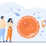 Illustration of a couple with a large egg cell, sperm cells, and male and female fertility symbols representing female infertility causes and reproductive health challenges.